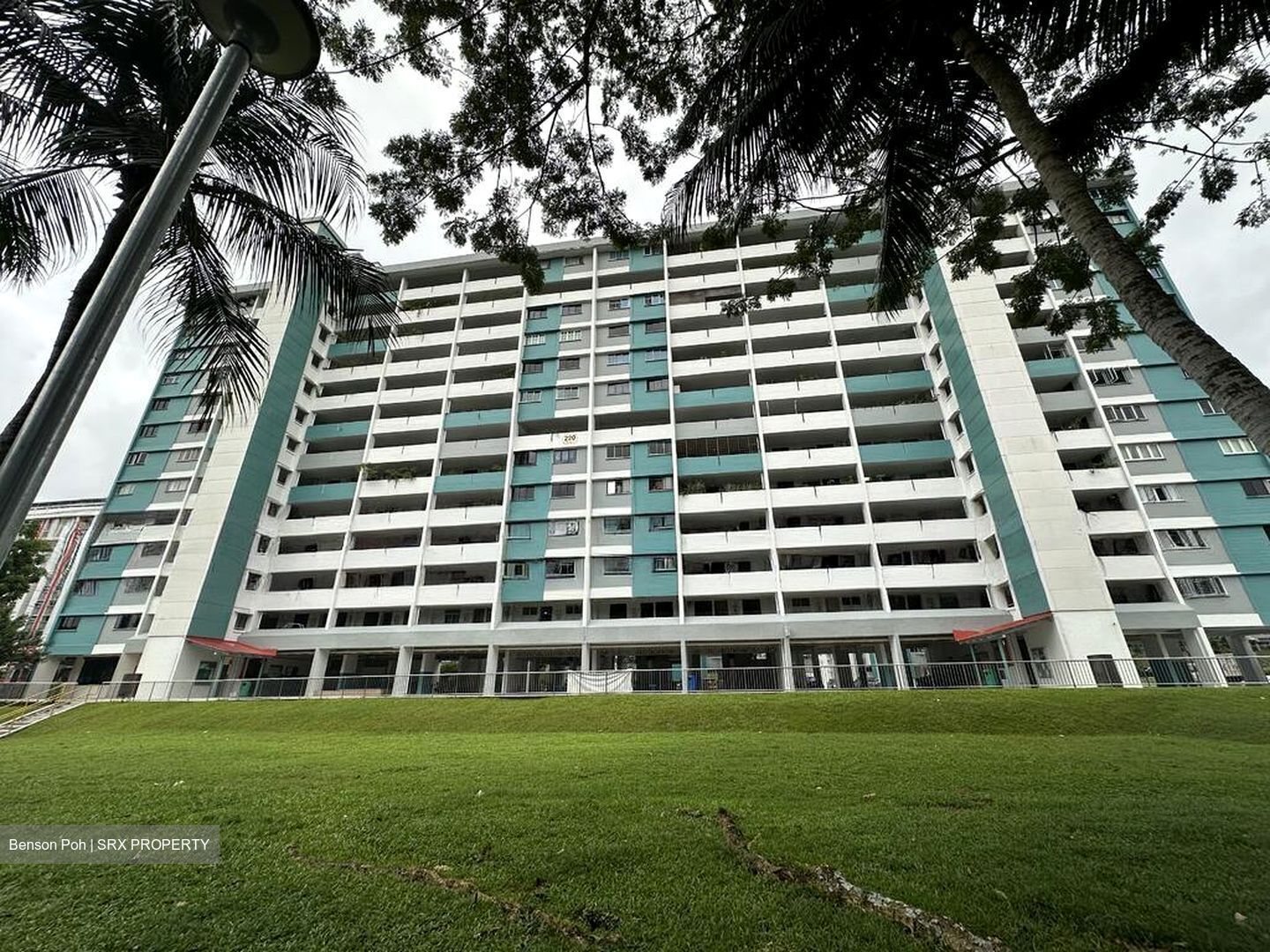 Blk 220 Ang Mo Kio Grove (Ang Mo Kio), HDB 3 Rooms #514229781